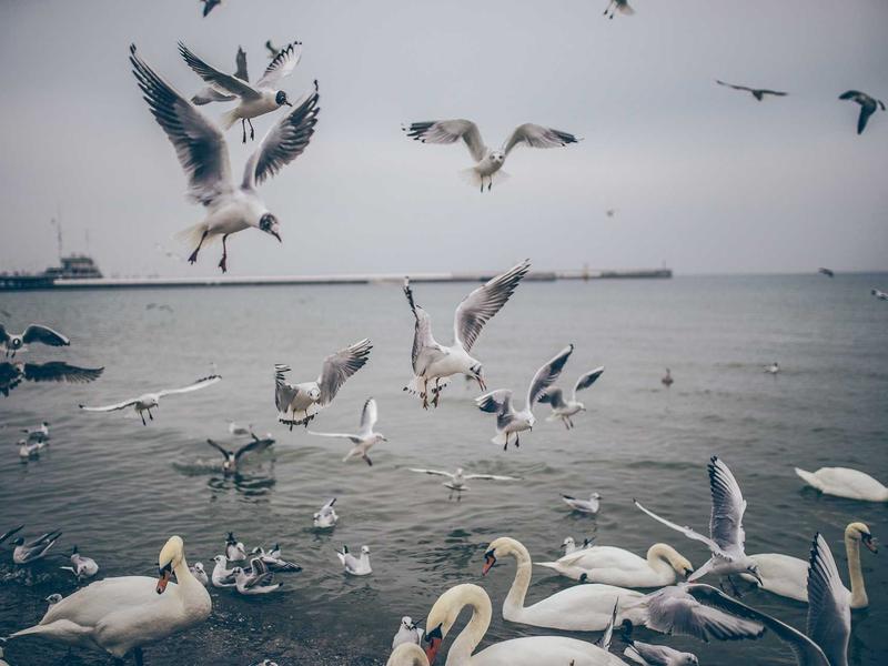 sudoku problem solving screenshot 1